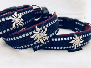 Hundehalsband Reflex Edelweiss